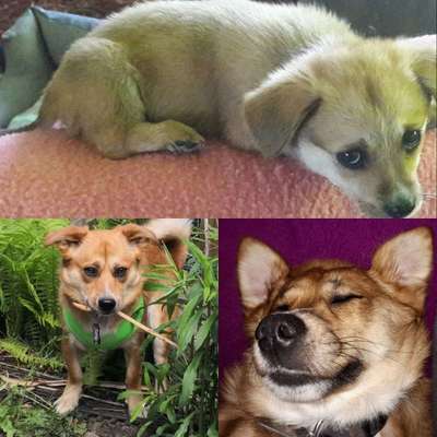 Vorher.... Nachher-Beitrag-Bild