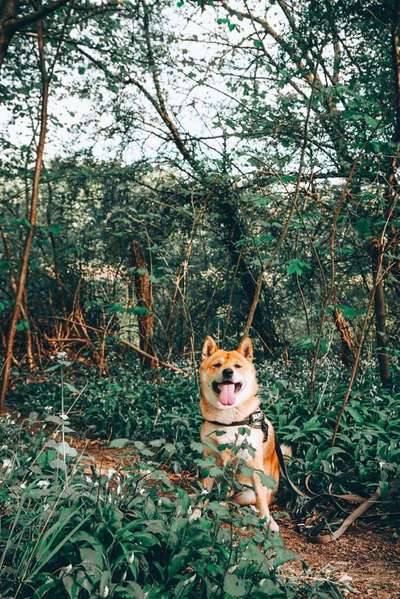 Lieblingsbild-Beitrag-Bild