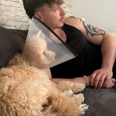 Hundetreffen-Gassi Runde in bergkamen 🐕🐩🐕‍🦺-Profilbild