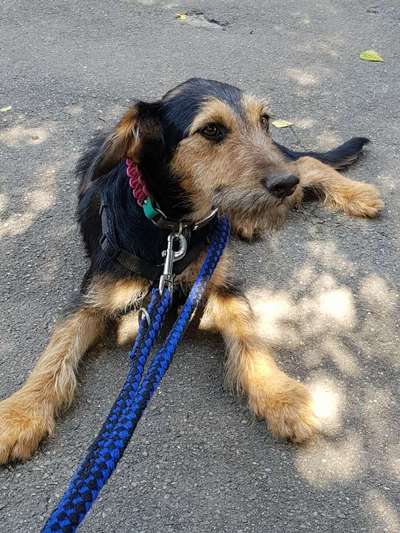 Das erste Foto-Beitrag-Bild