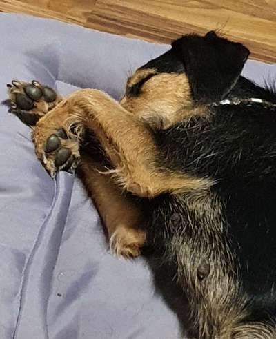 CHALLENGE NR. 34 - Liege-/Schlafpositionen-Beitrag-Bild