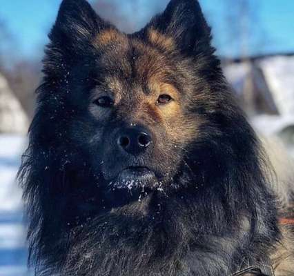 Fotochallange Nr. 57     PORTRÄT.   Beendet!!!!!!!!-Beitrag-Bild