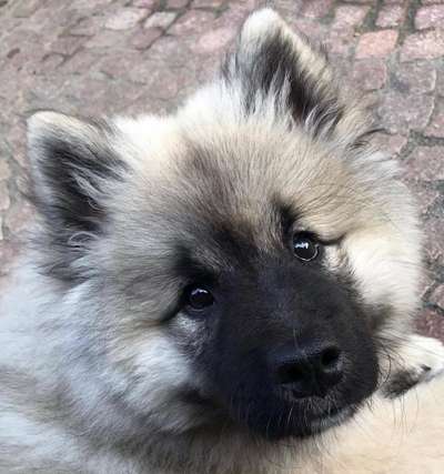 Fotochallange Nr. 57     PORTRÄT.   Beendet!!!!!!!!-Beitrag-Bild