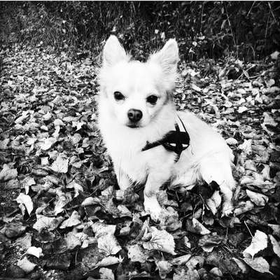 3. Farben/Fotochallenge: Schwarz/Weiß-Beitrag-Bild