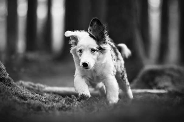 3. Farben/Fotochallenge: Schwarz/Weiß-Beitrag-Bild