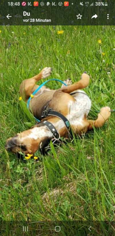 Theos Fotochallenge Nr. 3-Beitrag-Bild