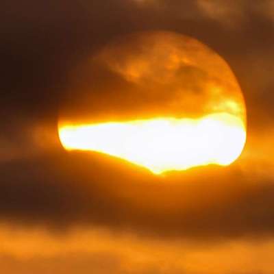 aktuelles Foto Gruppe Reisen mit Hund