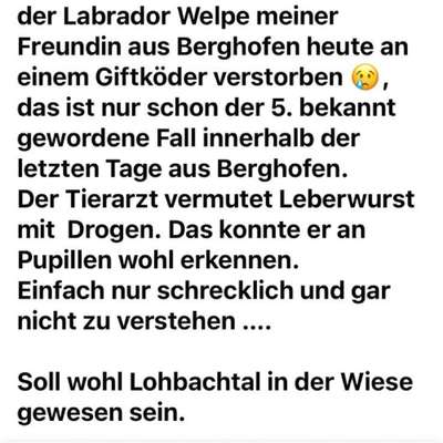 Giftköder-Giftköder-Bild