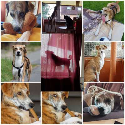 53. Collage Challenge - Verschiedene Blickwinkel-Beitrag-Bild