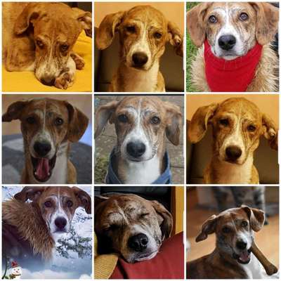 32. Collagen Challenge - eure liebsten gestellten Fotos-Beitrag-Bild