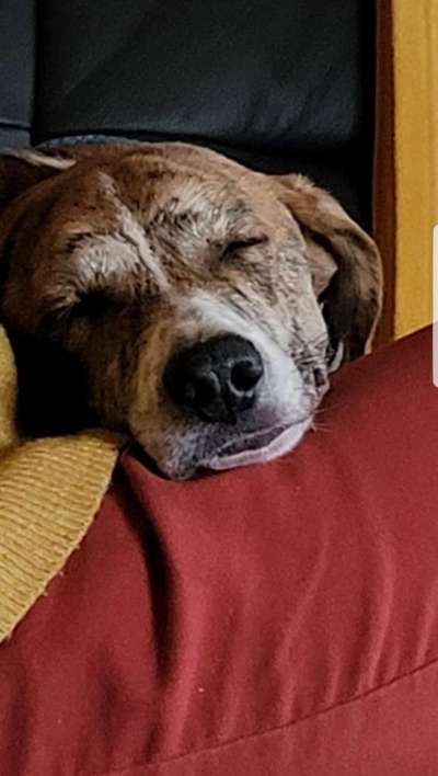 Lieblings Fotos-Beitrag-Bild