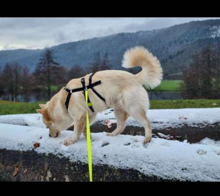 64. Handy Foto Challenge - Hoch hinaus-Beitrag-Bild