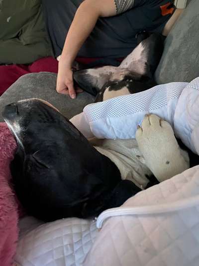 CHALLENGE NR. 34 - Liege-/Schlafpositionen-Beitrag-Bild