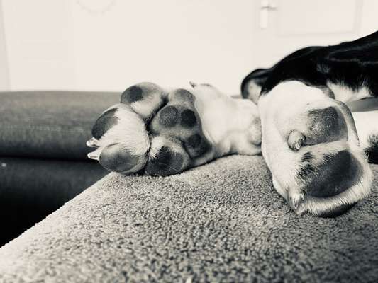 Blick fürs Detail!-Beitrag-Bild