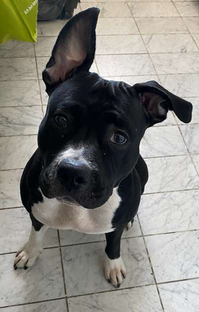 Fotochallange Nr. 57     PORTRÄT.   Beendet!!!!!!!!-Beitrag-Bild