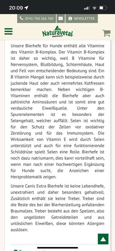 Collies gesucht-Beitrag-Bild