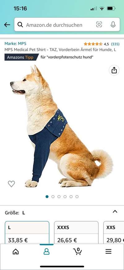 Collies gesucht-Beitrag-Bild