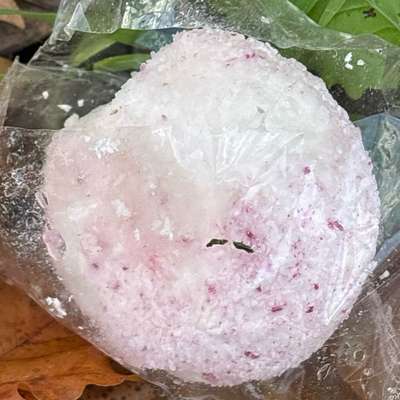 Giftköder-Weiße Substanz im Gebüsch-Bild