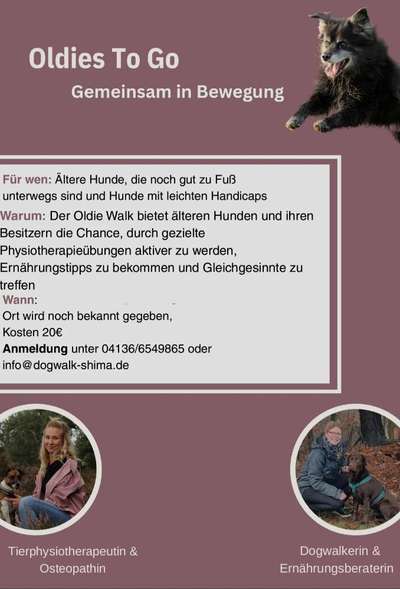 Hundetreffen-Oldies to Go Treffen für alte Hunde-Bild