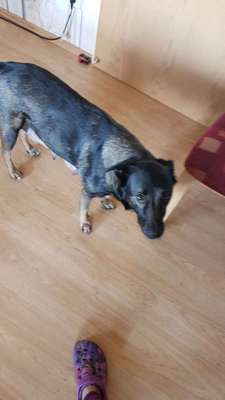 was seht ihr?-Beitrag-Bild