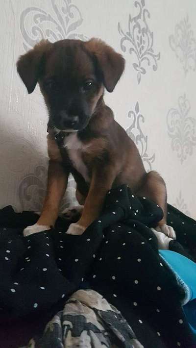 was seht ihr?-Beitrag-Bild