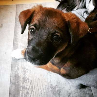 was seht ihr?-Beitrag-Bild