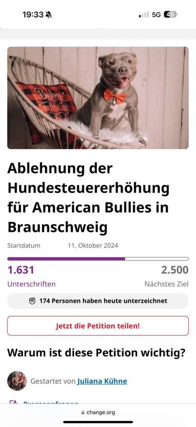 American Bully – Neue Einstufung als gefährlicher Hund in Braunschweig-Beitrag-Bild