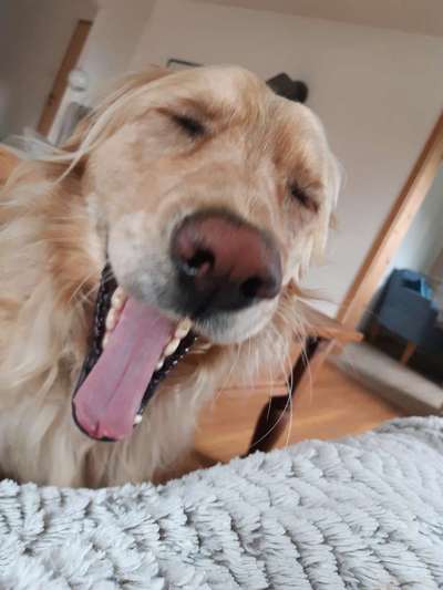 Un...scharf Bilder-Beitrag-Bild