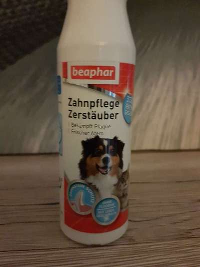 Zahnpflege... putzen, Spray, Gel oder Pulver?-Beitrag-Bild