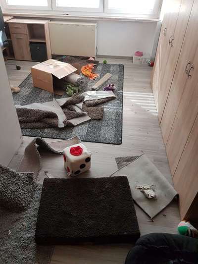 Spielzeug für süße Zerstörer-Beitrag-Bild