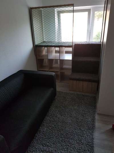 Hund bellt drinnen-Beitrag-Bild