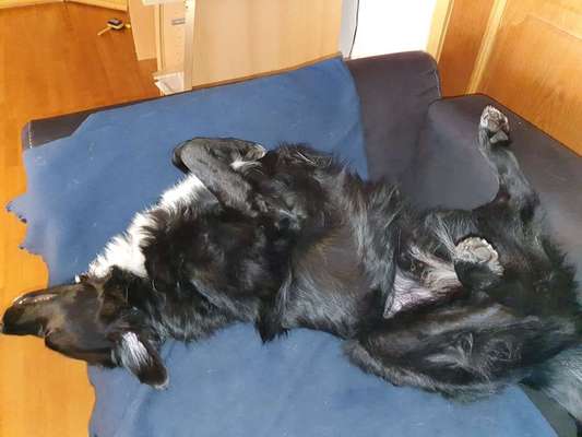 Die unbequemsten und lustigsten Schlafpositionen-Beitrag-Bild