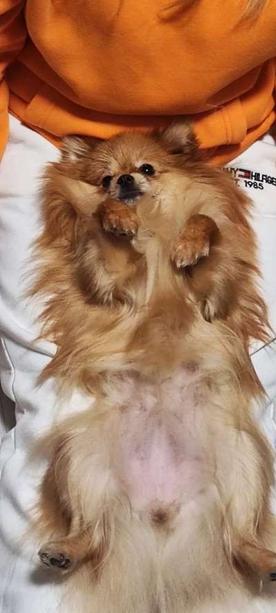 Foto Challenge - Zeigt her eure Bäuche-Beitrag-Bild