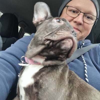 Hundetreffen-Treffen und Austausch-Profilbild