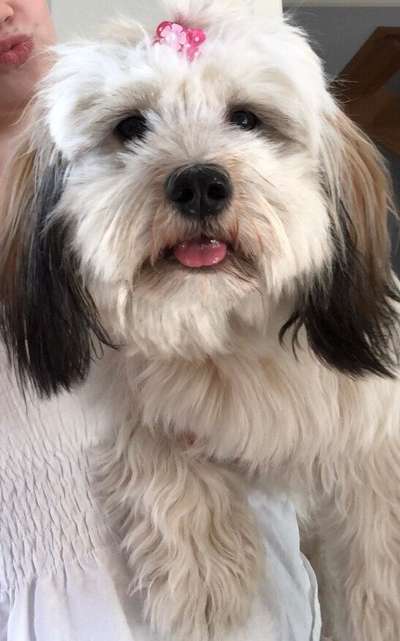 Dogorama Photo Challenge - Es wird nochmal kalt!-Beitrag-Bild