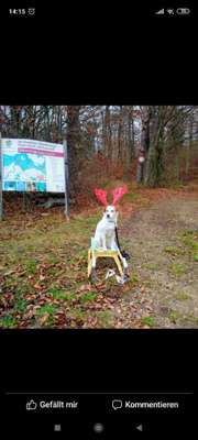 Weihnachtsfoto Aktion!-Beitrag-Bild