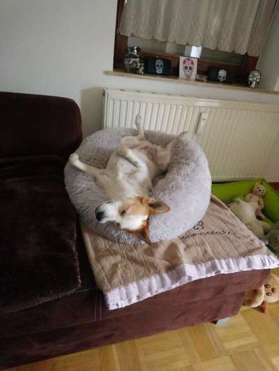 Die unbequemsten und lustigsten Schlafpositionen-Beitrag-Bild