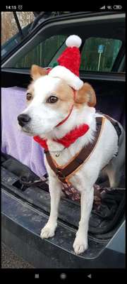 Weihnachtsfoto Aktion!-Beitrag-Bild