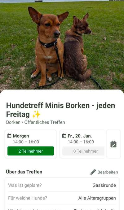aktuelles Foto Gruppe Hundefreunde Borken NRW