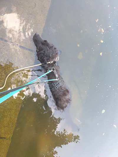 Von oben-Beitrag-Bild