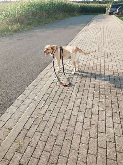 Der Ausreißer-Beitrag-Bild