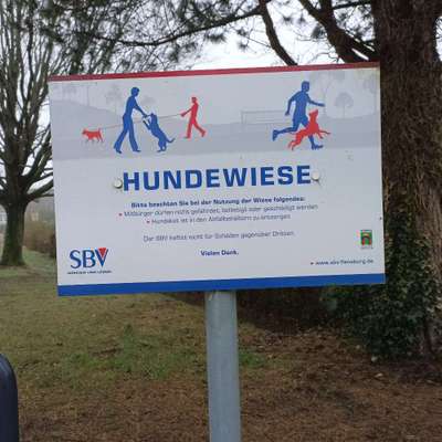 Hundeauslaufgebiet-SBV-Wiese-Bild