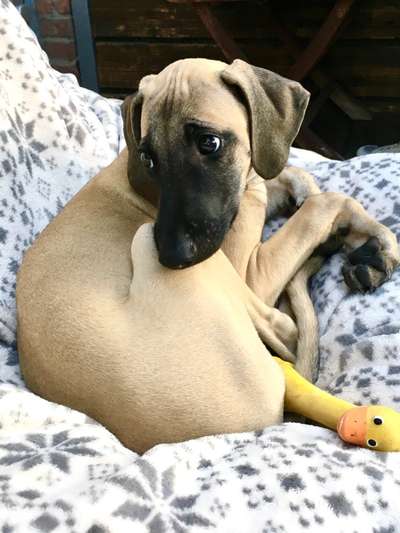 Foto Challenge 3-Beitrag-Bild