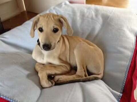 Vorher.... Nachher-Beitrag-Bild