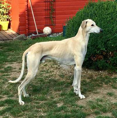 Vorher.... Nachher-Beitrag-Bild