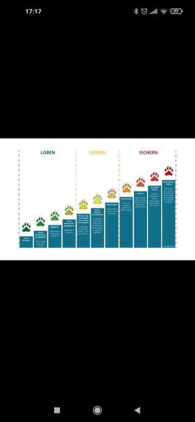 was möchte sie mir damit sagen...-Beitrag-Bild