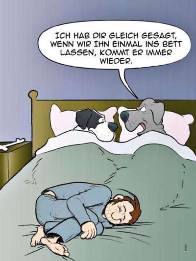 Im Bett schlafen-Beitrag-Bild