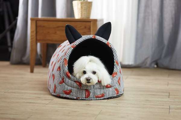 Höhlenbett-Beitrag-Bild