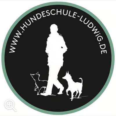 Hundeschulen-Hundetrainer Oliver Ludwig-Bild