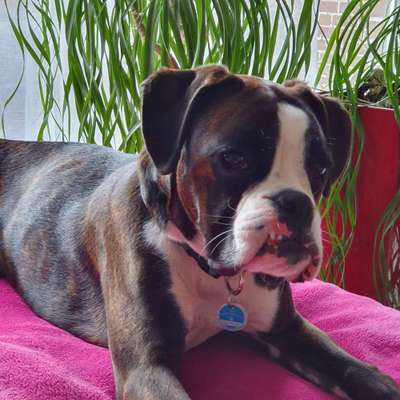 Fotochallange Nr. 57     PORTRÄT.   Beendet!!!!!!!!-Beitrag-Bild